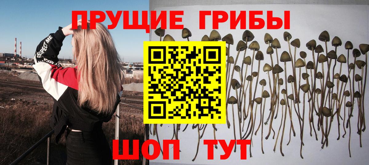 Зерноград  Галлюциногенные грибы мухоморы  Вход с VPN 