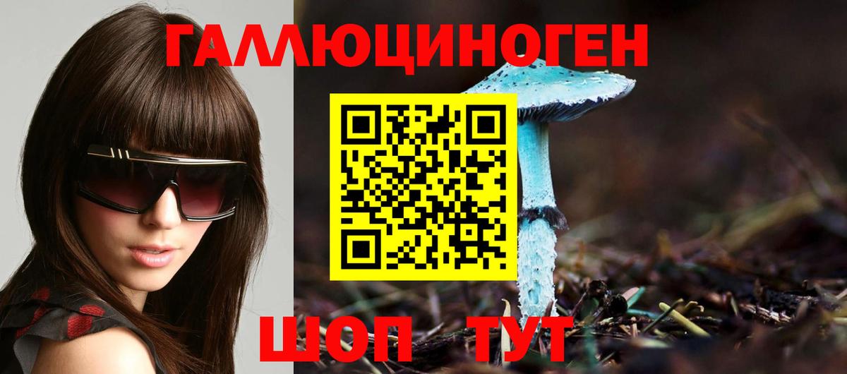 Галлюциногенные грибы Cubensis Зерноград